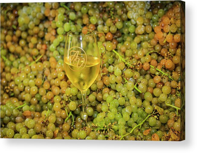 Grapes Acrylic Print featuring the photograph Before and After by Dale R Carlson