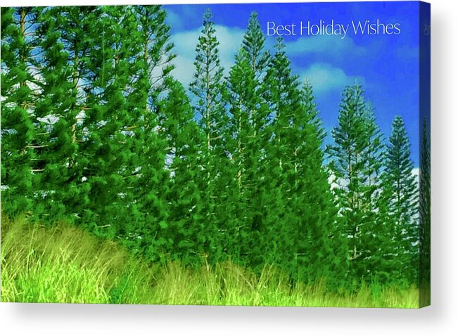 Best Holiday Wishes Acrylic Print featuring the photograph Best Holiday Evergreens In Hawaii by Debra Grace Addison