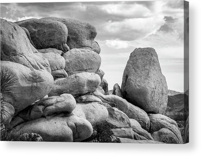 Black And White Acrylic Print featuring the photograph Big Rock Joshua Tree 7411 by Amyn Nasser