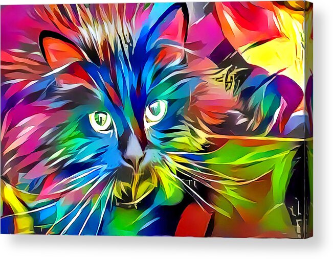 Kitten Acrylic Print featuring the digital art Big Whiskers Cat by Don Northup