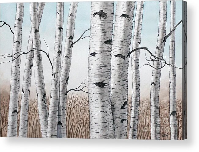 Birch Acrylic Print featuring the painting Birch Trees in Early Winter in Watercolor by Christopher Shellhammer