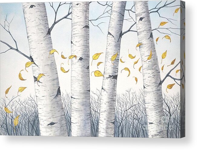 Birch Acrylic Print featuring the painting Birch Trees with flowing leaves in watercolor by Christopher Shellhammer