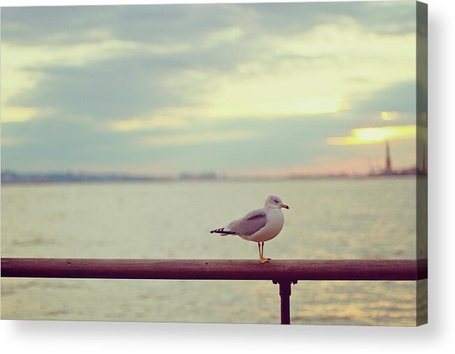 Scenics Acrylic Print featuring the photograph Bird At Liberty Park by Images By Debbie Wibowo