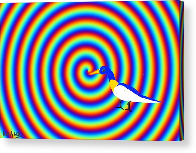 Bird's Eye Acrylic Print featuring the digital art Bird's Eye by Anand Swaroop Manchiraju
