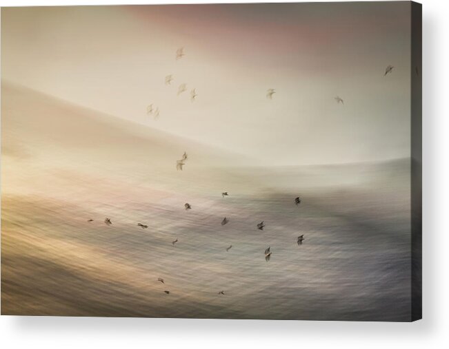 Intentional Camera Movement Acrylic Print featuring the photograph Birds over the Sea by Anita Nicholson
