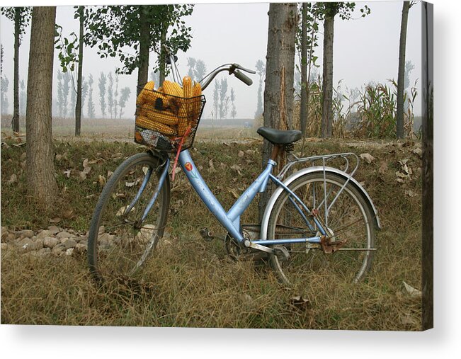 Bicycle Acrylic Print featuring the photograph On the Way Home by Leslie Struxness