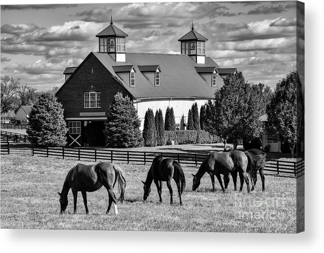 Lexington Acrylic Print featuring the photograph Bluegrass Horse Farm 2 by Bob Phillips