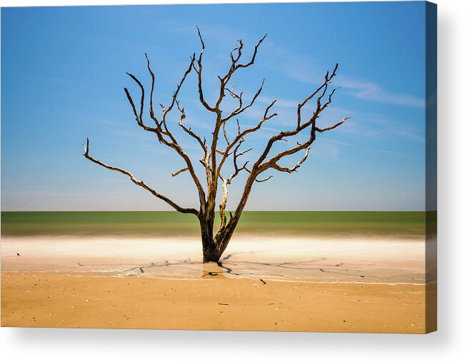 Landscape Acrylic Print featuring the photograph Botany Bay In South Carolina, Usa by Sean Pavone