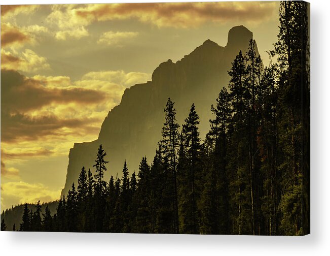 Canada Acrylic Print featuring the photograph Bow Valley View by Douglas Wielfaert
