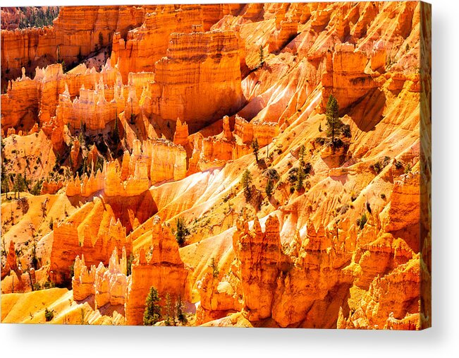 Bryce Acrylic Print featuring the photograph Bright Hoodoos Landscape In Bryce Canyon National Park Utah Usa by Dieter Walther