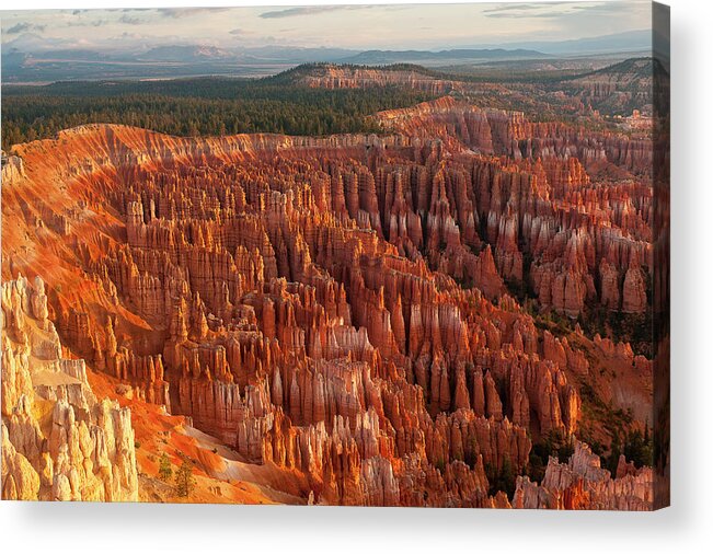 Tranquility Acrylic Print featuring the photograph Bryce Canyon by Phil