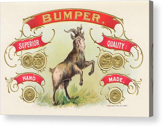 ?bumper. Superior Quality Hand Made.?
Ram Standing On Its Hind Legs Acrylic Print featuring the painting Bumper by Art Of The Cigar