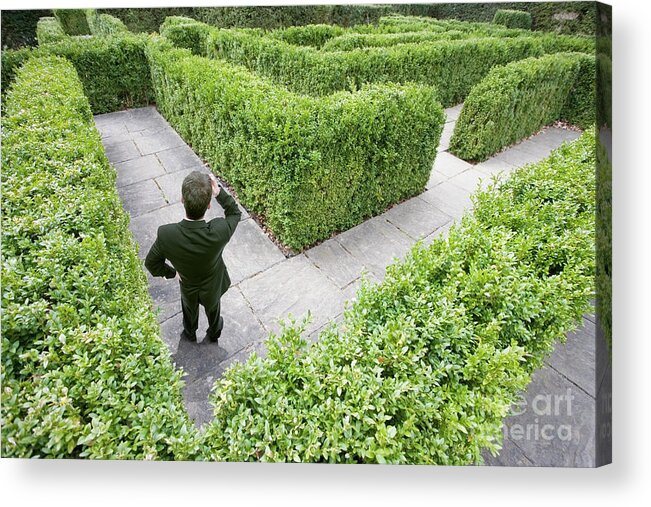 Challenge Acrylic Print featuring the photograph Businessman Lost In A Maze by Conceptual Images/science Photo Library