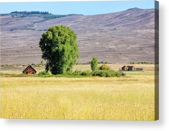 Hayfield Acrylic Print featuring the photograph Cabin Amid Hay Harvest by Denise Bush