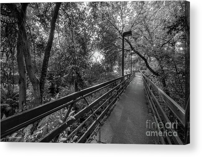 California State University Acrylic Print featuring the photograph Cal State University Chico Bridge by University Icons
