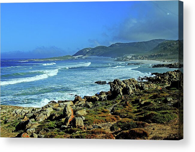 Cape Of Good Hope Acrylic Print featuring the photograph Cape of Good Hope by Richard Krebs