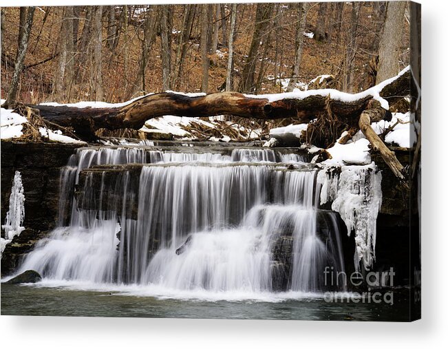Nature Reserve Acrylic Print featuring the photograph Caron Falls in the Winter by Bill Frische
