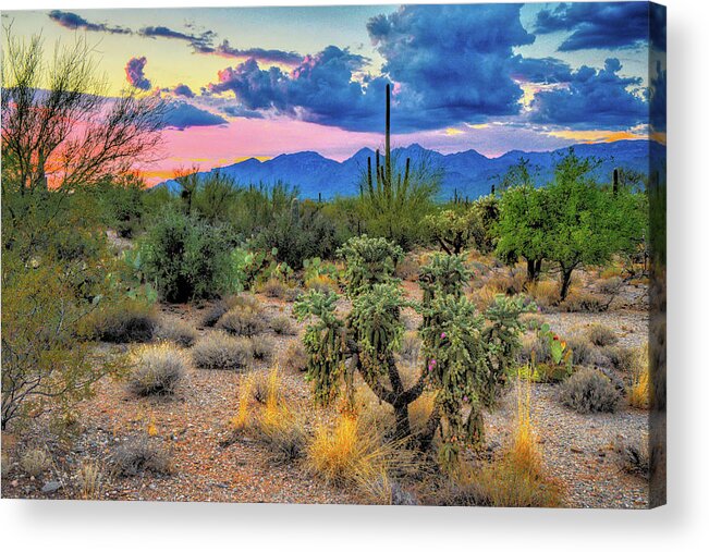 Southwest Acrylic Print featuring the photograph Catalina Mountains and Sonoran Desert Twilight by Chance Kafka