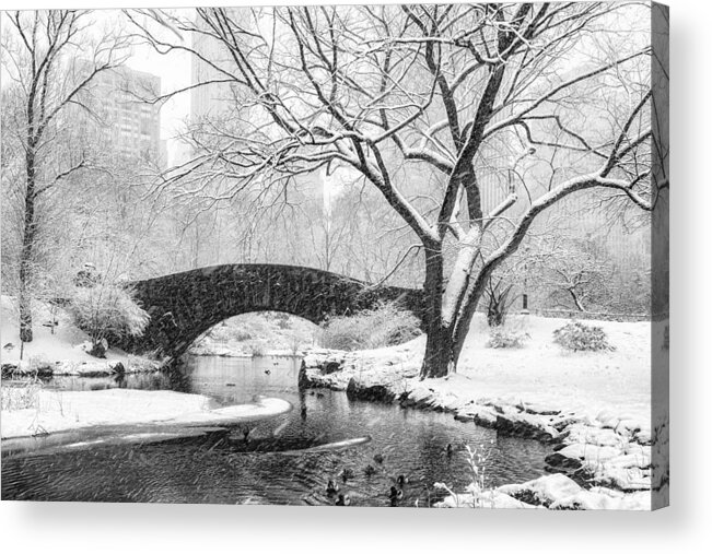 Central Park Acrylic Print featuring the photograph Central Park Snow by Alice Sheng