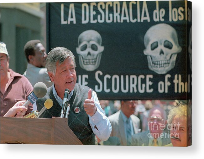 1980-1989 Acrylic Print featuring the photograph Cesar Chavez Speaking At Protest by Bettmann