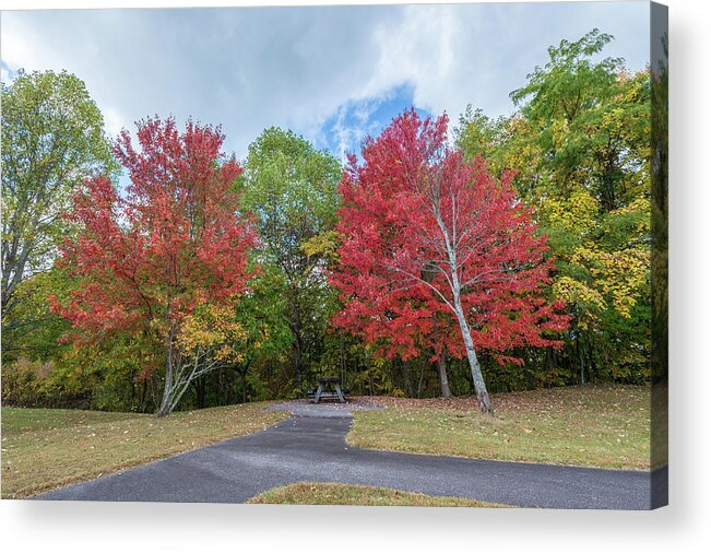 Nature Acrylic Print featuring the photograph Changing of Color by Joe Leone