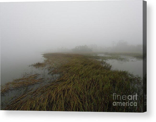 Fog Acrylic Print featuring the photograph Charleston Fog - Wando River by Dale Powell