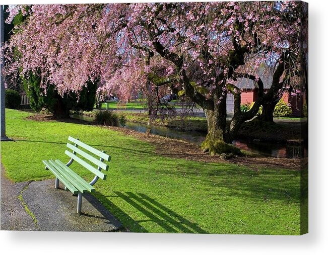 Scenics Acrylic Print featuring the photograph Cherry Tree In A Park, Portland by Design Pics/craig Tuttle
