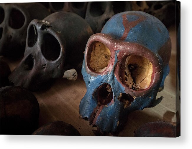 Gerry Ellis Acrylic Print featuring the photograph Chimpanzee Skulls by Gerry Ellis