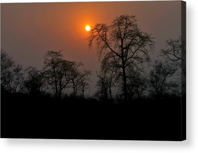 Adventure Acrylic Print featuring the photograph Chitwan National Park Sunset by Jim Simmen