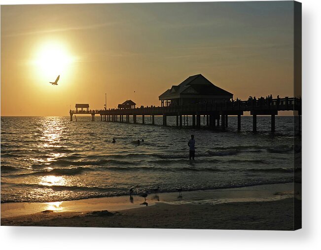Clearwater Acrylic Print featuring the photograph Clearwater Florida Sunset at the Pier FL Seagull by Toby McGuire