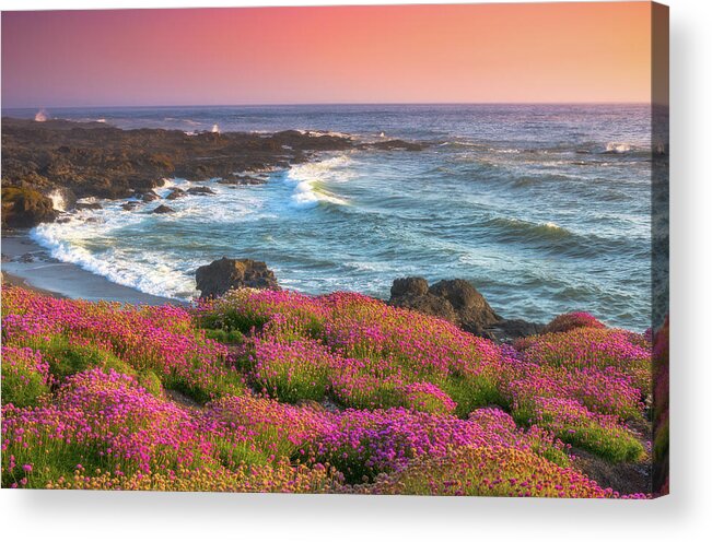Oregon Acrylic Print featuring the photograph Coastal Clover Sunset by Darren White