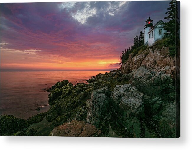 Bass Head Acrylic Print featuring the photograph Coastal Magic by Judi Kubes