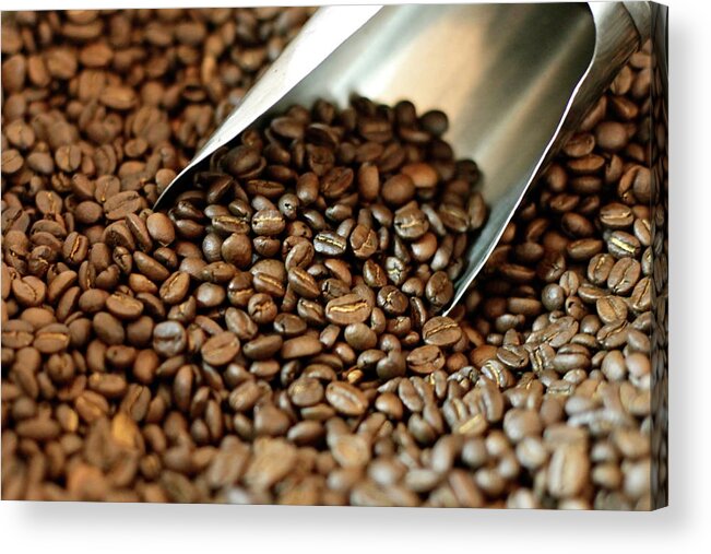 Large Group Of Objects Acrylic Print featuring the photograph Coffee Beans by Proudly Brought To You By Hasin Hayder