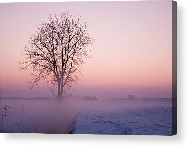 Scenics Acrylic Print featuring the photograph Cold Morning by Mauro grigollo