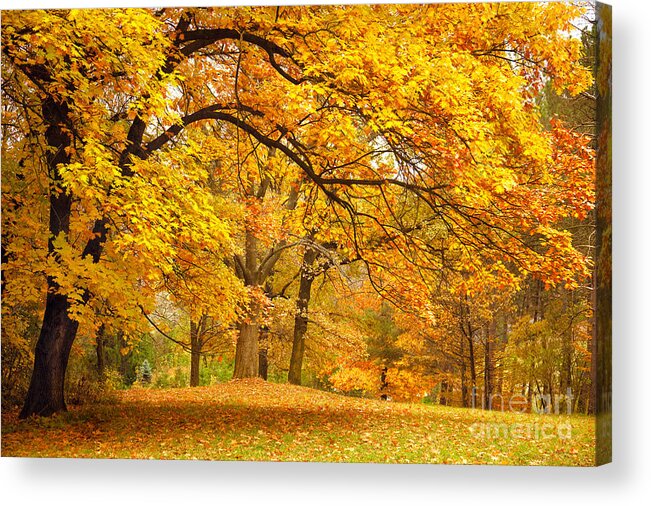 Country Acrylic Print featuring the photograph Collection Of Beautiful Colorful Autumn by Taiga