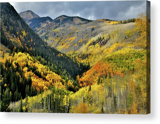 Highway 145 Acrylic Print featuring the photograph Color Spotlights along Highway 145 in CO by Ray Mathis