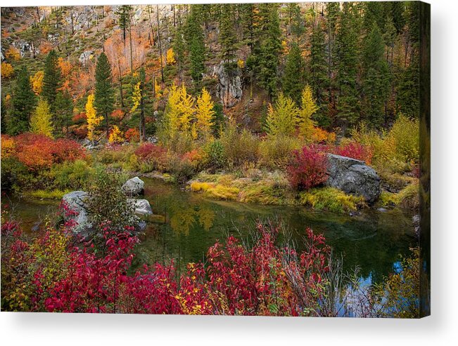 Colorful Autumn Acrylic Print featuring the photograph Colorful Autumn by Lynn Hopwood