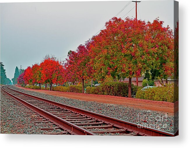 Fall Acrylic Print featuring the photograph Colorful Fall along the Railroad, Cupertino by Amazing Action Photo Video