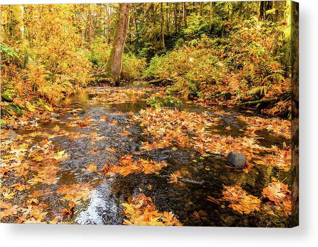 Landscapes Acrylic Print featuring the photograph Colours Of Fall by Claude Dalley