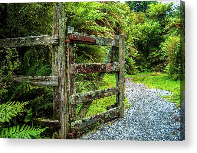 Gate Acrylic Print featuring the photograph Come in the gate's open by Leslie Struxness