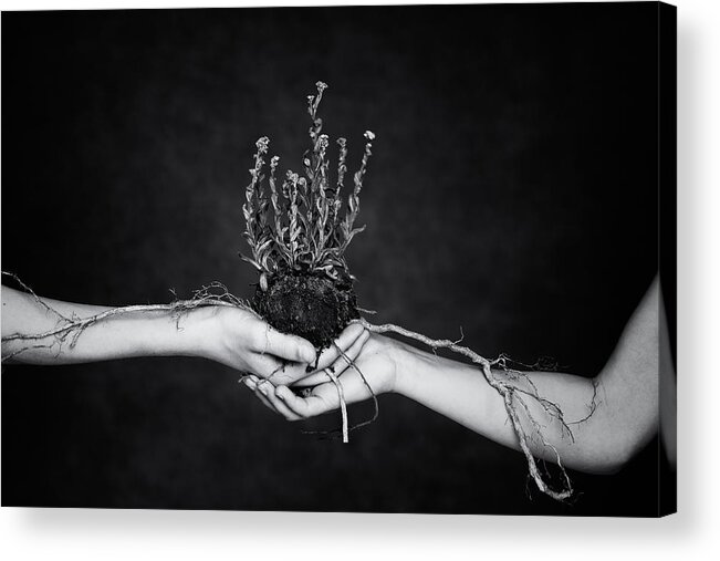 Hands Acrylic Print featuring the photograph Connected by Mirjam Delrue