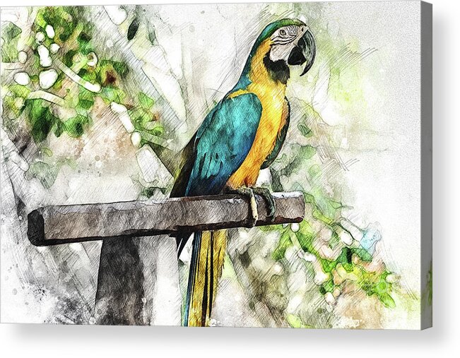 Costa Maya Acrylic Print featuring the digital art Costa Maya Macaw by David Smith