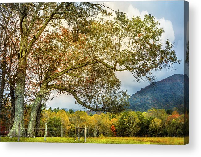Appalachia Acrylic Print featuring the photograph Country Mountain Lane at Cades Cove by Debra and Dave Vanderlaan