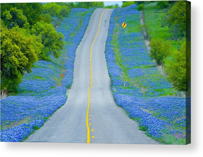Scenics Acrylic Print featuring the photograph Country Road & Bluebonnets by Donovan Reese