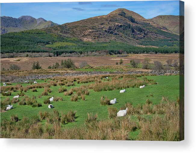 County Mayo Ireland Acrylic Print featuring the photograph County Mayo Ireland by Curt Rush