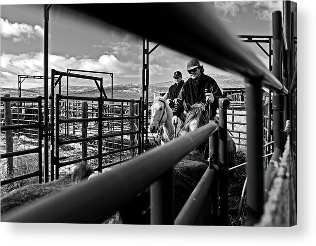 Ranch Acrylic Print featuring the photograph Cowboys at work by Julieta Belmont