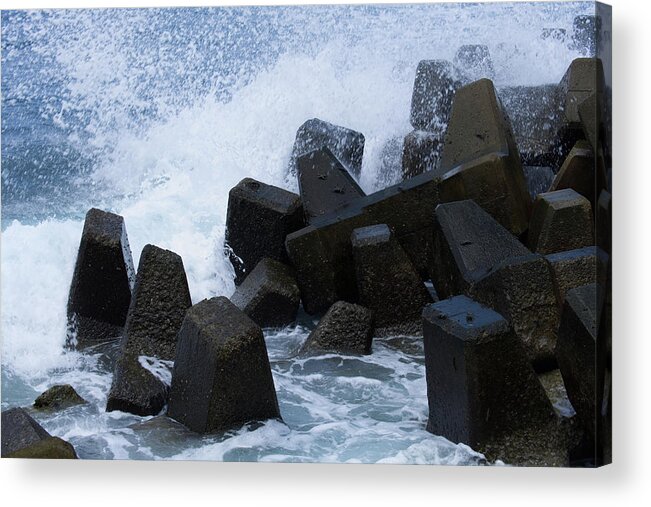 Seawall Acrylic Print featuring the photograph Crabs on the tetrapods by Eric Hafner