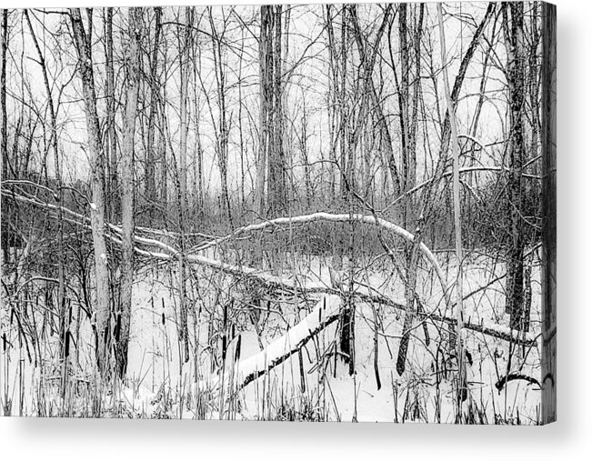  Acrylic Print featuring the photograph Crossbow by Kendall McKernon
