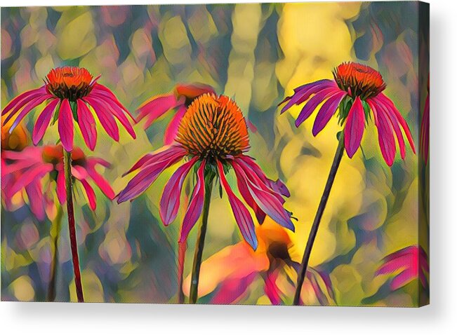 Floral Acrylic Print featuring the mixed media Dancing in the Sun by Susan Rydberg