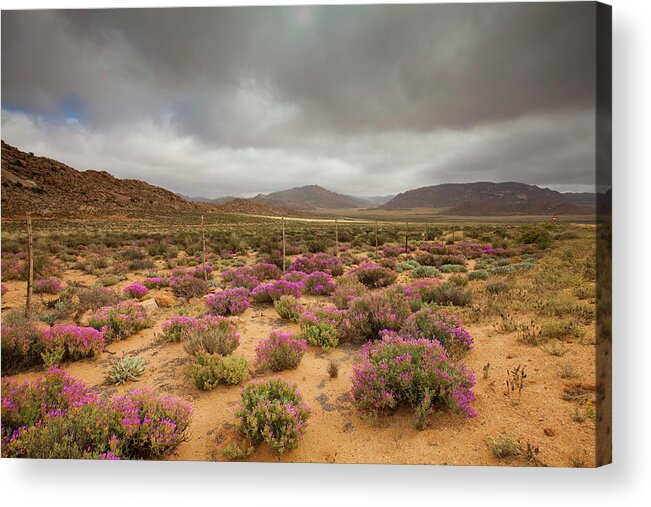 Wire Acrylic Print featuring the photograph Dark Clouds Hang Over A Open Field by Anthony Grote